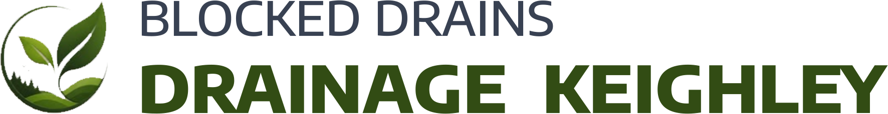 website logo